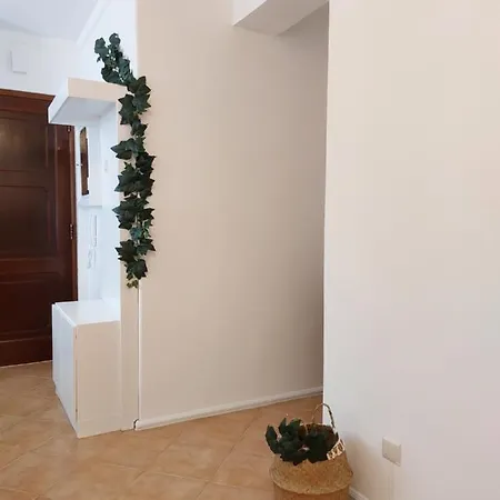 Appartement Casa Mia |